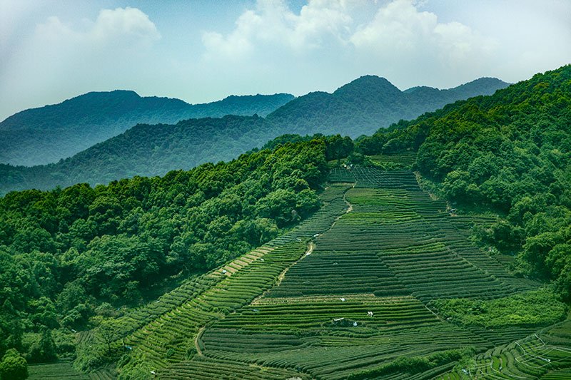 Qiantang
