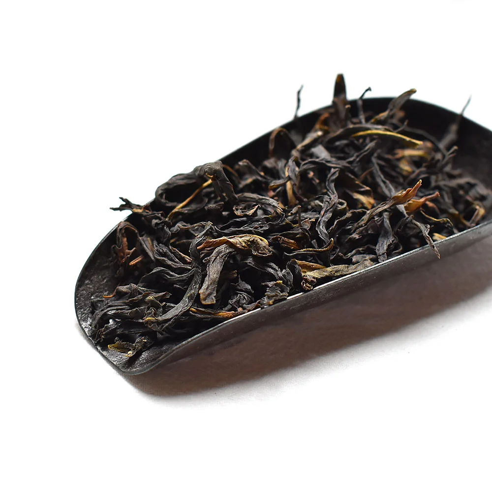 老樅鳳凰單叢 (鴨屎香)