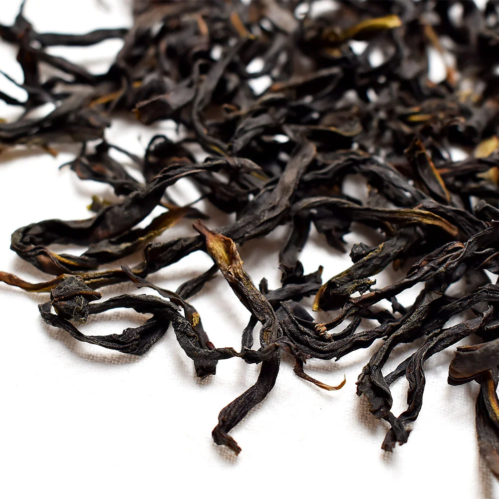 老樅鳳凰單叢 (鴨屎香)