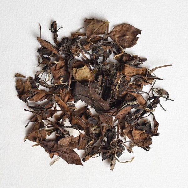 Aged Shoumei White Tea