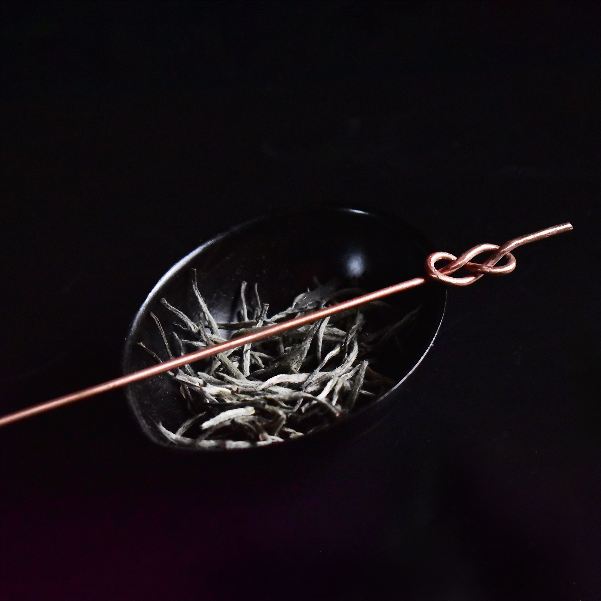 Line Circle Lacquer Tea Scoop & Tea Needle